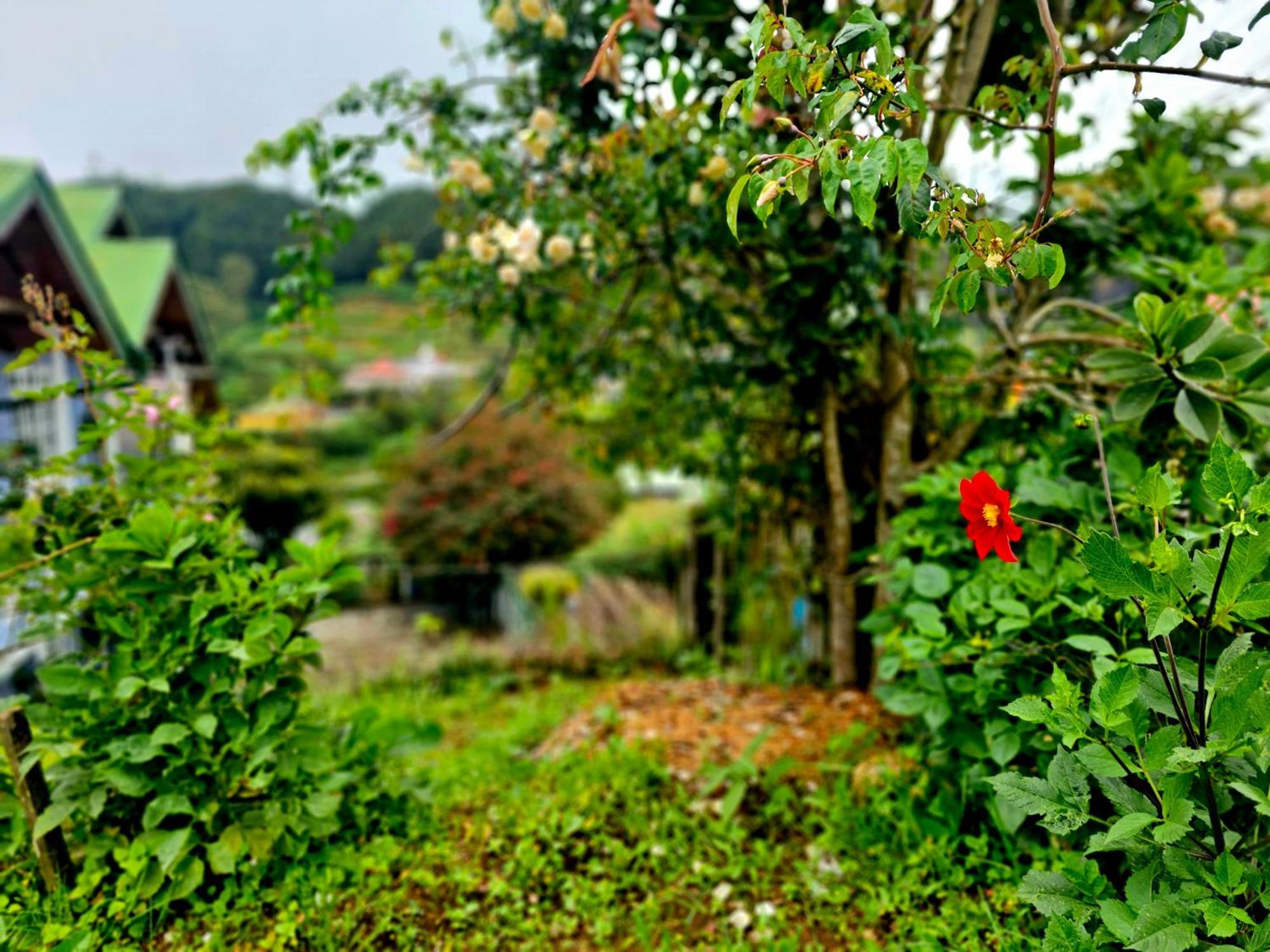 Haven Backpackers Hostel Nuwara Eliya Exterior photo