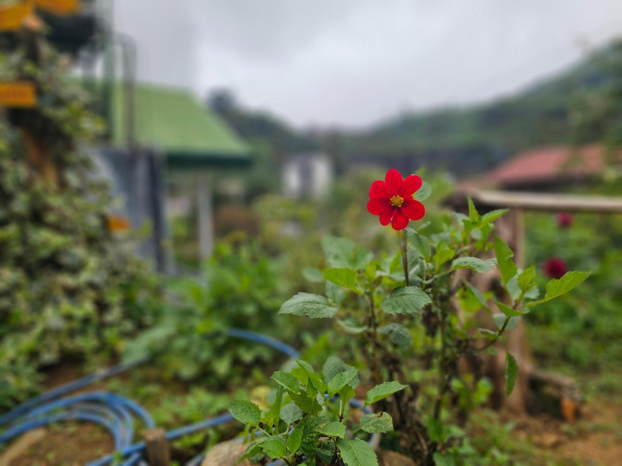 Haven Backpackers Hostel Nuwara Eliya Exterior photo